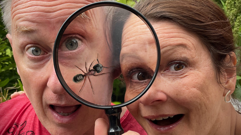 En man och en kvinna tittar på en myra genom ett förstoringsglas.