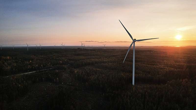 Vindkraftverk och skog.
