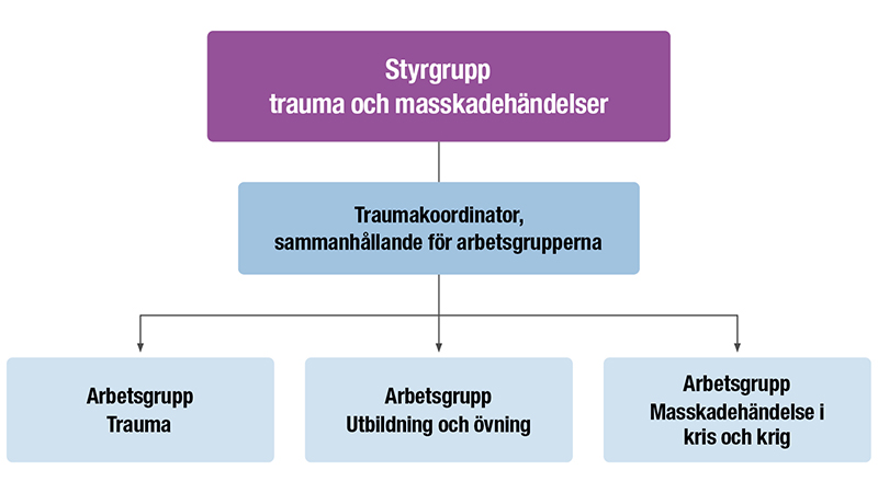 Organisationsskiss med en ruta överst med texten: Styrgrupp trauma och masskadehändelser. Rutan under står det traumakoordinator, sammanhållande för arbetsgrupperna. Under delas det i tre rutor för arbetsgrupperna: Trauma, Utbildning och övning och masskadehändelse i kris och krig.