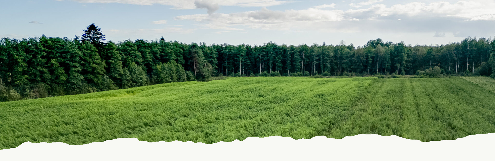 Water cutting machine