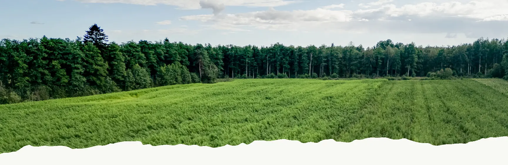 Water cutting machine