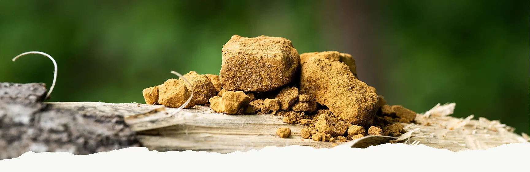 Water cutting machine