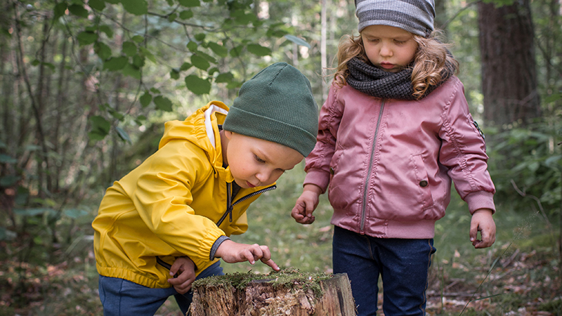 Små barn i skogen.