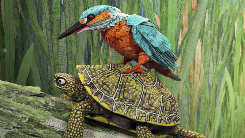 En fågel sitter på en sköldpaddas rygg. © Smorgasbord Picture House