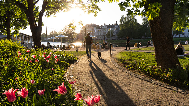 Regionplan och budget 2027 med flerårsplan 2028-2029