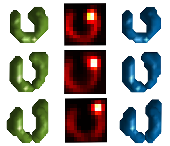 Illustration sköldkörtelbilder