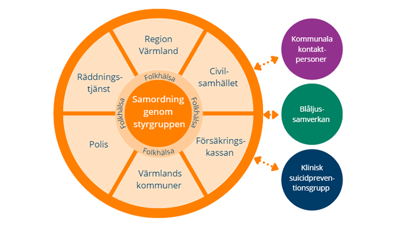 Bilden visar ett hjul där styrgruppen finns i mitten. Mellan ekrarna finns nätverkets olika medlemsorganisationer. Tre stora punkter intill hjulet visar de övriga tre grupperna.