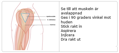 Bild som visar muskel med område för injektion. Text intill illustrationen är "Injektionsteknik vid intramuskulär injektion till vuxen: Se till att muskeln är avslappnad. Ges i 90 graders vinkel mot huden. Stick rakt in. Aspirera. Injicera. Dra rakt ut."