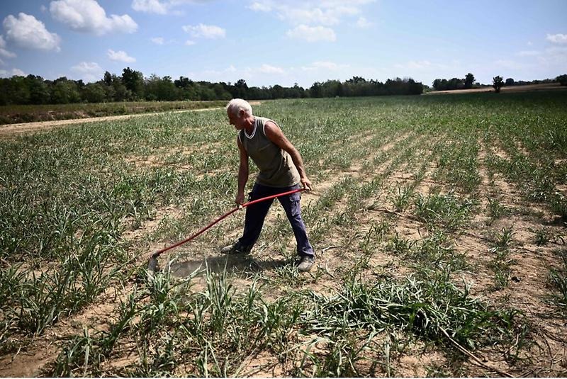 Man som arbetar på en åker.