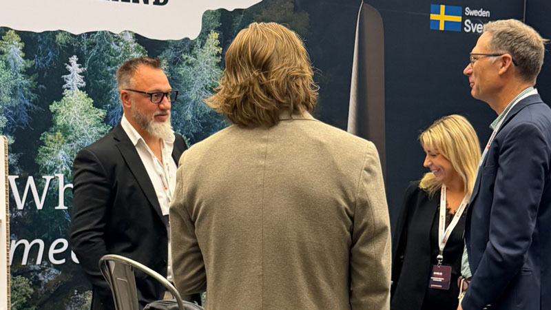 Three men, one woman – all discussing Värmland.