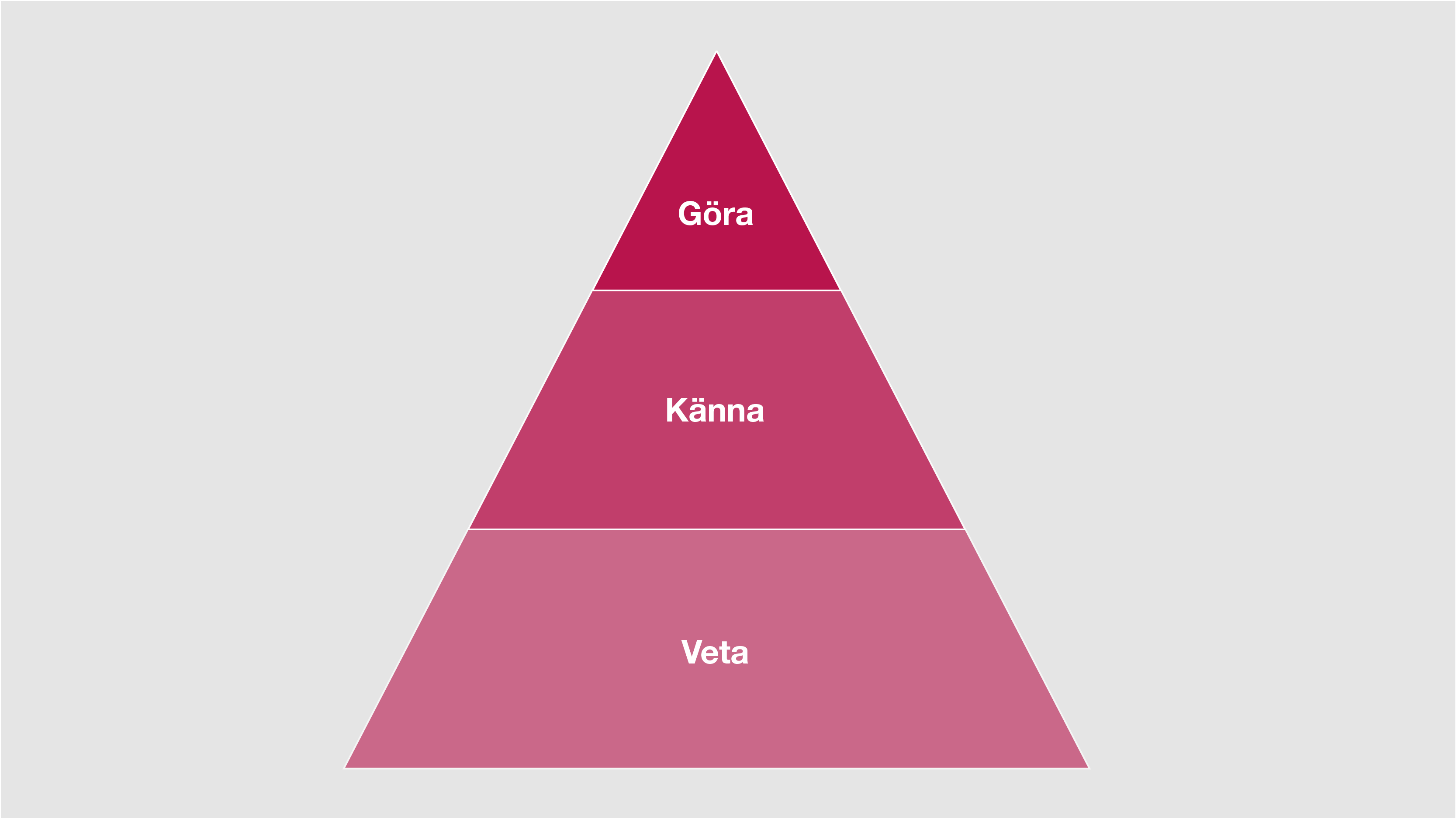 Illustration. En triange med texten Göra längst upp, Känna i mitten och Veta i basen. 