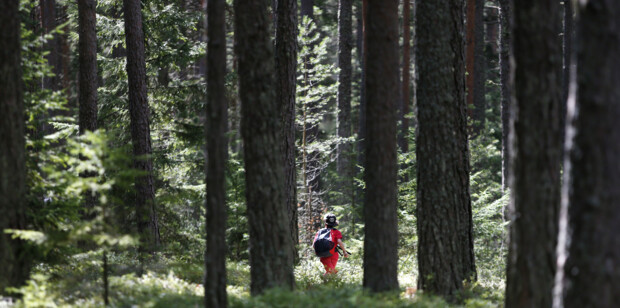 Ett barn som går i skogen.