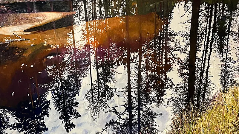 Vy över vatten där skogen speglar sig.