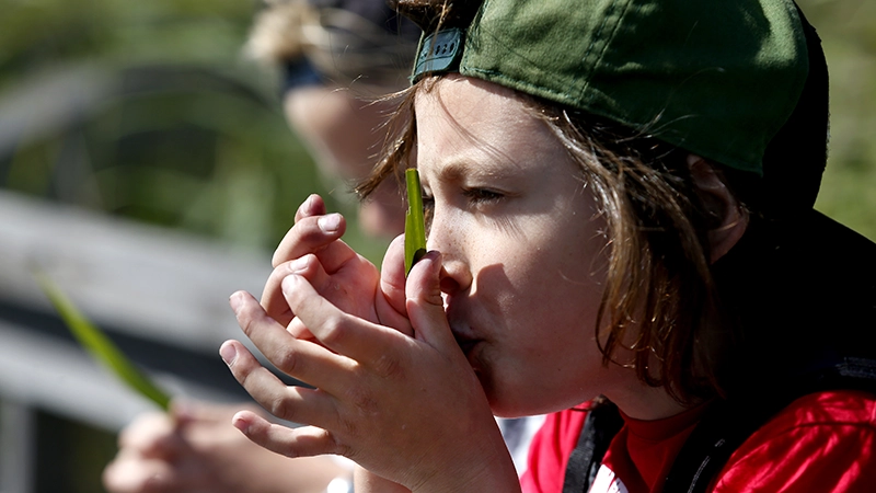 Barnets rättigheter