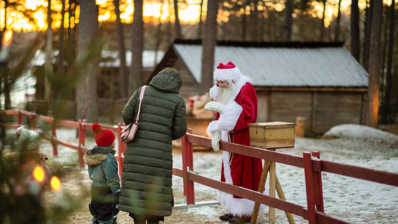 Åk med oss till Mariebergsskogens julmarknad