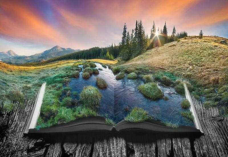 Vitalii Bashkatov/Shutterstock. En öppen bok med berglandskap i bakgrunden. 