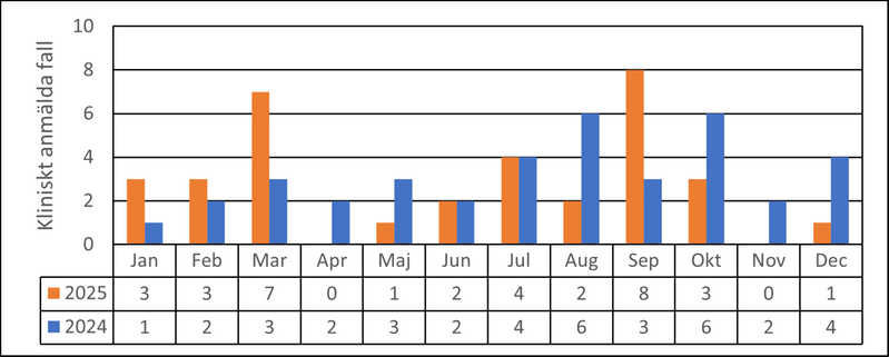 Tabell och diagram som visar antal fall av gonorré per månad i Värmland under åren 2024 och 2025.