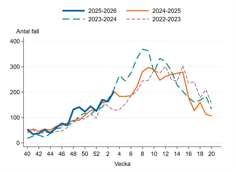 Fall av calicivirus i Sverige säsongen 2022-23, 2023-24, 2024-25 och 2025-26