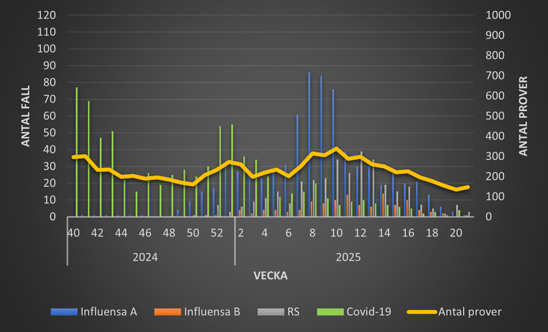 Luftvägsvirus 2021-2022