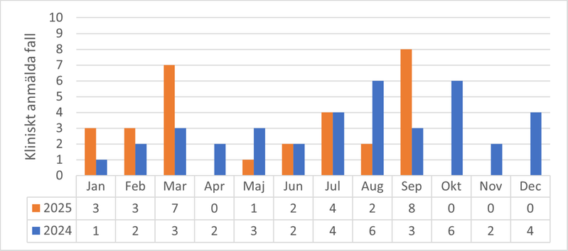 Tabell och diagram som visar antal fall av gonorré per månad i Värmland under åren 2024 och 2025.