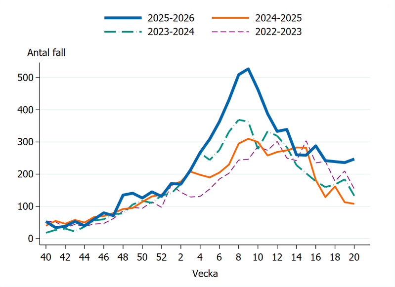 Fall av calicivirus i Sverige säsongen 2022-23, 2023-24, 2024-25 och 2025-26