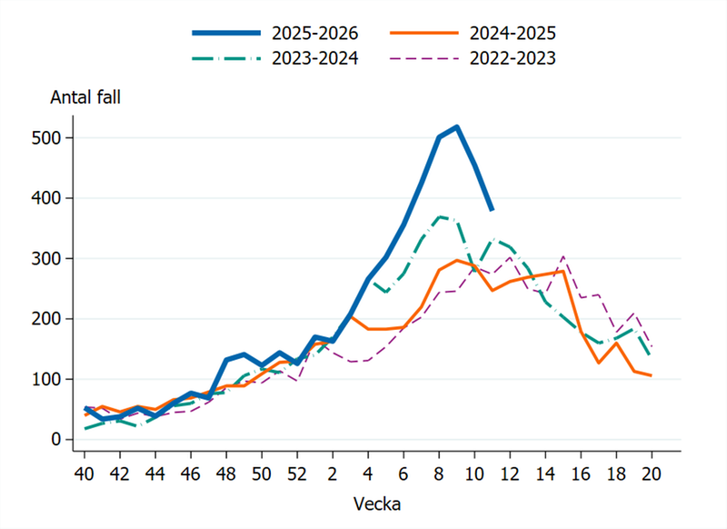 Fall av calicivirus i Sverige säsongen 2022-23, 2023-24, 2024-25 och 2025-26