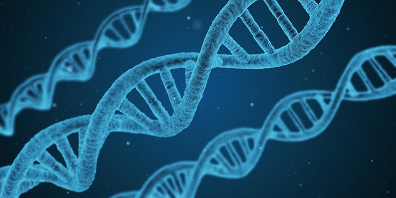 DNA