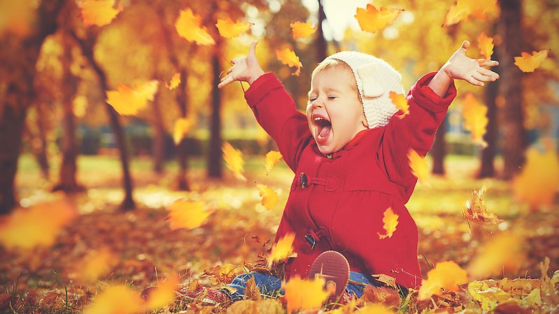 Liten flicka i röd jacka sitter på marken och kastar gula löv upp i luften.