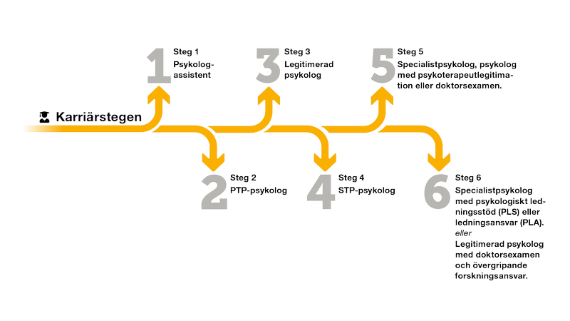 De sex karriärstegen för psykolog.