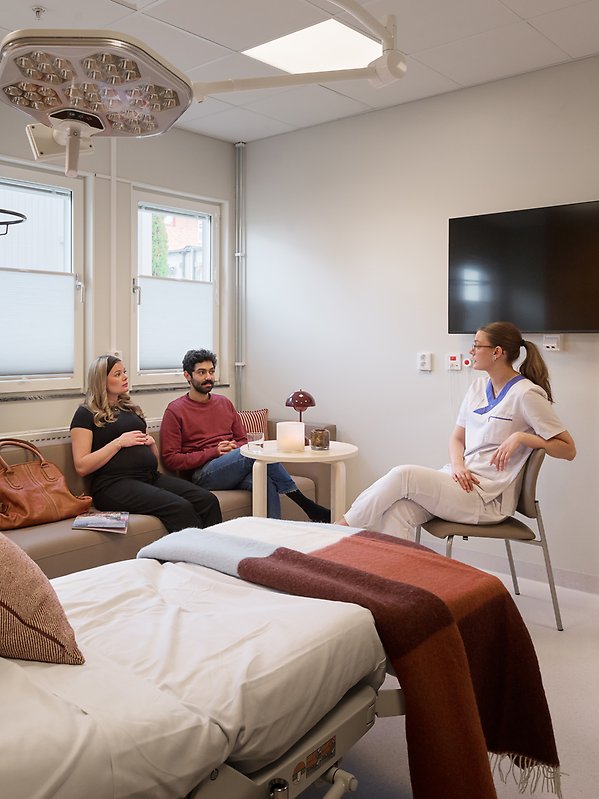 Kvinna och man sitter i soffa, en vårdpersonal sitter mittemot.