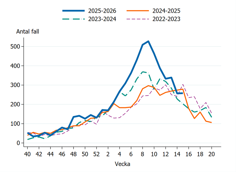 Fall av calicivirus i Sverige säsongen 2022-23, 2023-24, 2024-25 och 2025-26